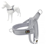 PLUTUS PET No Pull harness with breathable mesh for daily comfort during walks.
