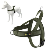 PLUTUS PET No Pull harness with breathable mesh pad for comfortable outdoor walks