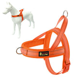 Plutus Pet No Pull Harness with breathable mesh padding for comfortable walks.