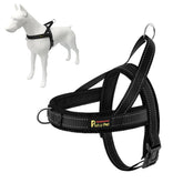 Plutus Pet No Pull harness with breathable mesh padding for comfort during walks.