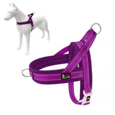 Plutus Pet no pull harness with breathable mesh for comfortable walks