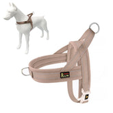 Plutus Pet No Pull Harness with breathable mesh padding for outdoor comfort.