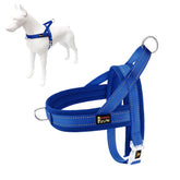 Plutus Pet No Pull Harness with breathable mesh padding for comfortable daily walks