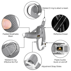 PLUTUS PET harness chest D-ring helps train dogs not to pull.