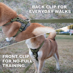 Plutus Pet harness with adjustable neck chest and belly for a precise fit