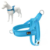 Plutus Pet No Pull Harness showing easy on-off design for quick walks.