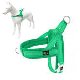 Plutus Pet No Pull harness front view with breathable mesh padding for comfort