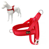 Plutus Pet No Pull Harness front view shows quick-fit design ideal for easy on-off sessions