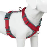 Plutus Pet No Pull harness front view shows secure, adjustable fit for daily walks
