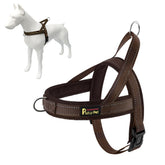 Plutus Pet No Pull harness front view with quick-fit design for easy on-off use.