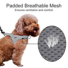 PLUTUS PET harness reflective stitching improves nighttime visibility for safety.