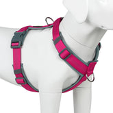 Plutus Pet No Pull Harness with soft padding offers comfortable daily wear.