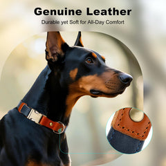 Plutus Pet soft leather-hemp blend collar highlighting comfortable fit for sensitive skin