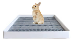 PODOO Rabbit Litter Box front view showing easy access for small pets