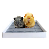 PODOO Rabbit Litter Box with grid pan for cleaner waste separation and easier cleaning.