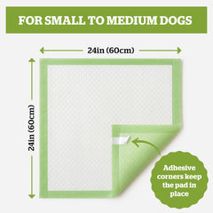 Pogi's 6-layer pad offers strong absorbency for daily puppy training sessions.