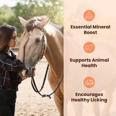 POHS Himalayan salt lick block closeup highlights natural mineral composition for grazing animals.