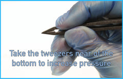 Pollygene digital sample card illustrates quicker setup and tracking for bird samples