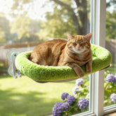 POMESEA cordless cat window perch assembly demonstrates quick, tool-free setup on a clean window.