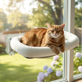POMESEA cordless cat window perch in foldable hammock offers an elevated resting spot for indoor cats.