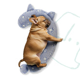 POMESEA glow-in-the-dark dog calming pillow used at night to soothe pets