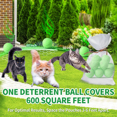 Ponal deterrent setup around garden beds reduces cat visits.