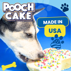 Pooch Cake dog-safe sprinkles—adds festive color without fuss.