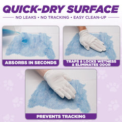 POOPH Potty Pads suitable for puppy training and indoor routines.