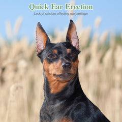 POPETPOP ear posting kit two sets enables easy replacement for ongoing support.
