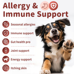 Poppaw allergy chews texture closeup shows soft chewable consistency