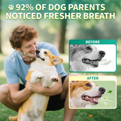Poppaw Dog Dental Powder ingredients with diatomaceous earth for gentle cleaning