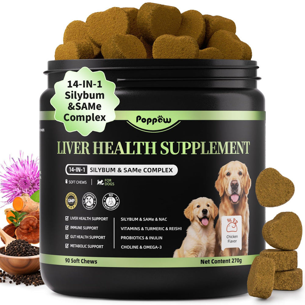 POPPAW Liver Support Chews bottle front, promoting daily vitality with a tasty formula.