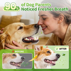 POPPAW mint breath support promotes fresher breath for dogs