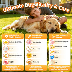 POPPAW Omega-3 DHA/EPA blend supports skin, coat, and heart health