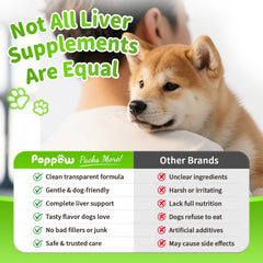 POPPAW synbiotic blend image communicates gut-friendly probiotics and inulin.