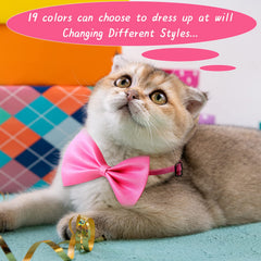 Potchen adjustable neckband bow ties ensure a comfortable, secure fit for small to medium dogs