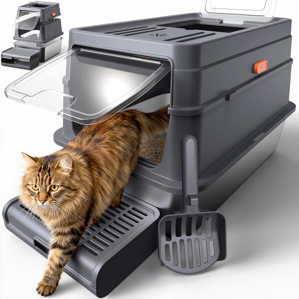 Powools cat litter box with lid showing roomy interior for comfortable cat movement.