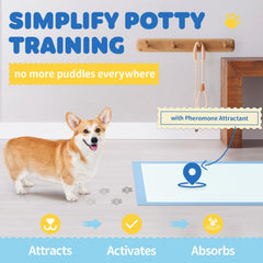 Powools XL puppy pads 34x28, leak-proof backing protects floors during use.