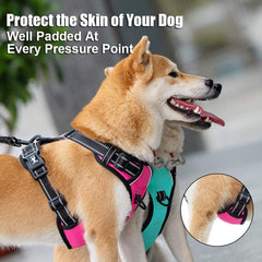 PoyPet Oxford fabric outer layer mint blue harness is scratch resistant.