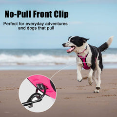 PoyPet No Pull harness back clip for relaxed walks and versatility