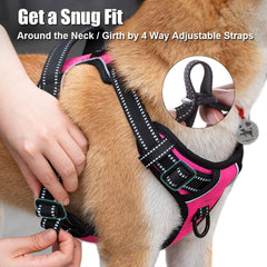 PoyPet No Pull harness with soft padded mesh for breathability