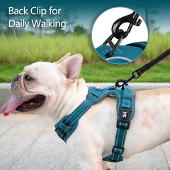 PoyPet padded top handle allows quick, safe grabbing in emergencies.