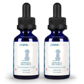 PranaPets Adrenal Balance drops support daily hormonal balance and stress adaptation for dogs.