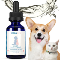 PranaPets liver supplement drops mixed into a cat's meal for digestion support