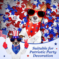 Preboun bandana with USA flag print for holiday outfits