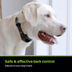 Premier Pet Bark Collar LED display showing barking activity for monitoring.