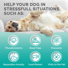 Premium Care Calming Chews USA facility label signals safe production