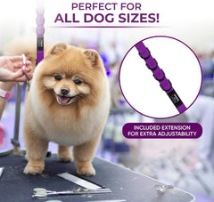 Prestige Elite grooming noose quick release provides safe restraint during sessions