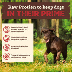 Primal Kibble in The Raw beef-recipe ingredients displayed for wholesome real-food nutrition