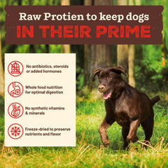 Primal chicken-recipe bowl showcases real meat flavor and lean protein.